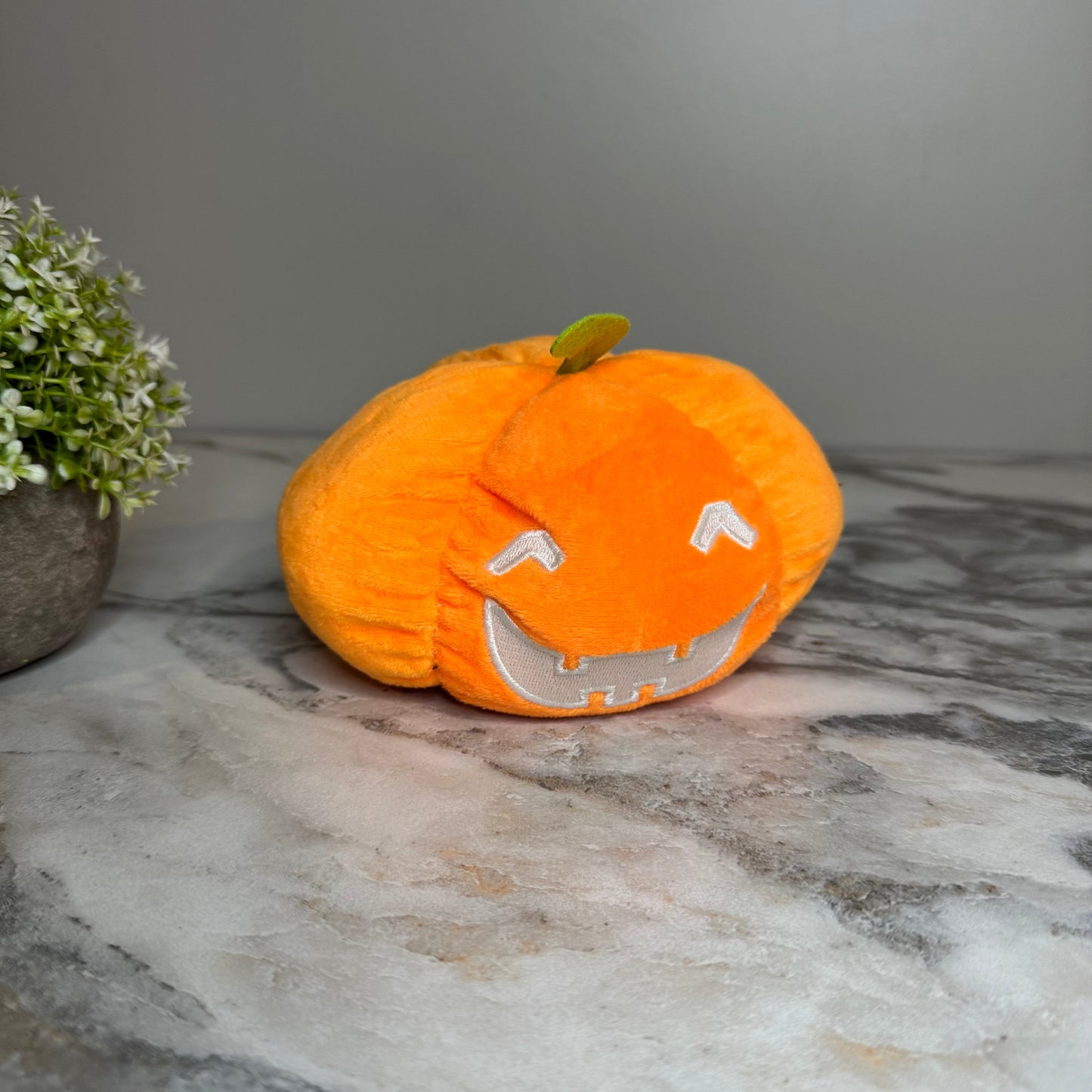 Moody Animals - Pumpkins, Ghost, Dog, & Cat