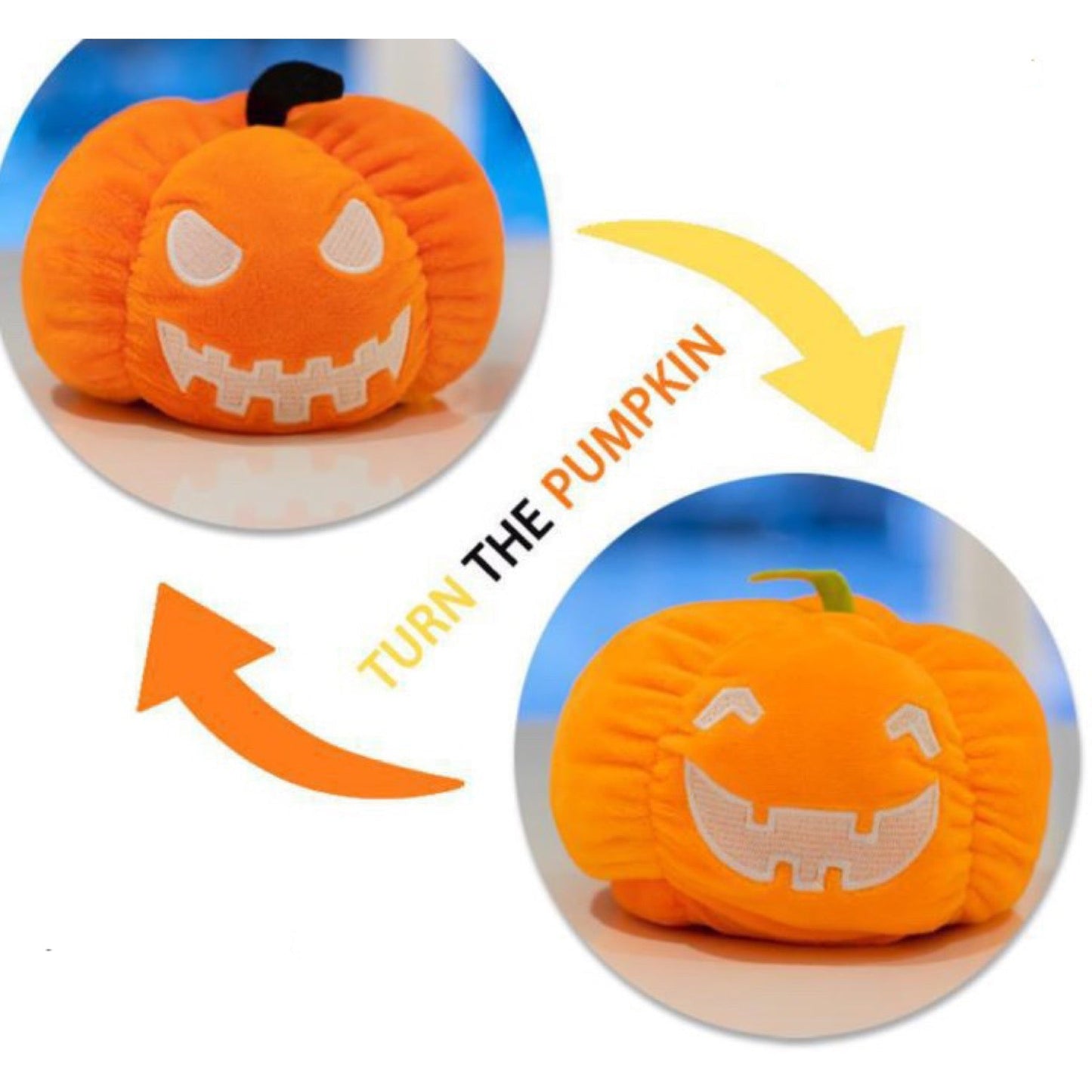 Moody Animals - Pumpkins, Ghost, Dog, & Cat -