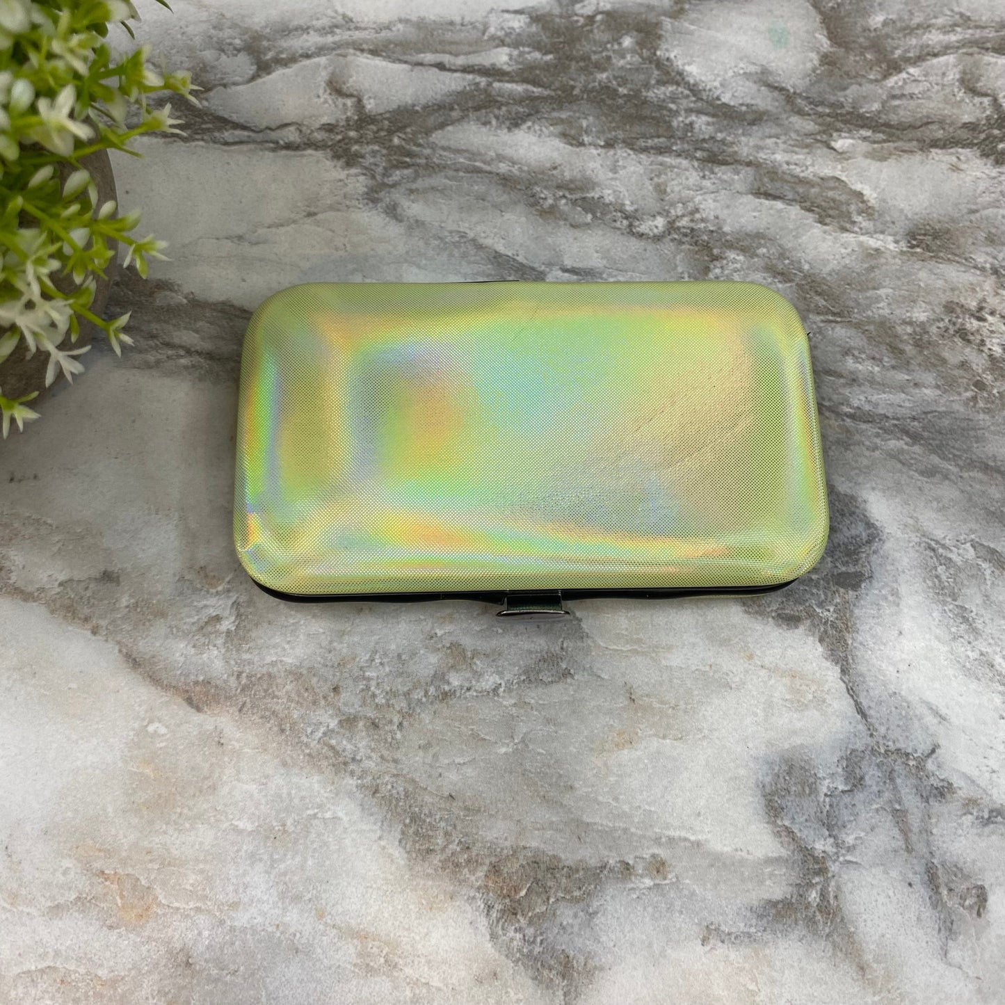 Manicure Nail Case & Set - Solid Holographic