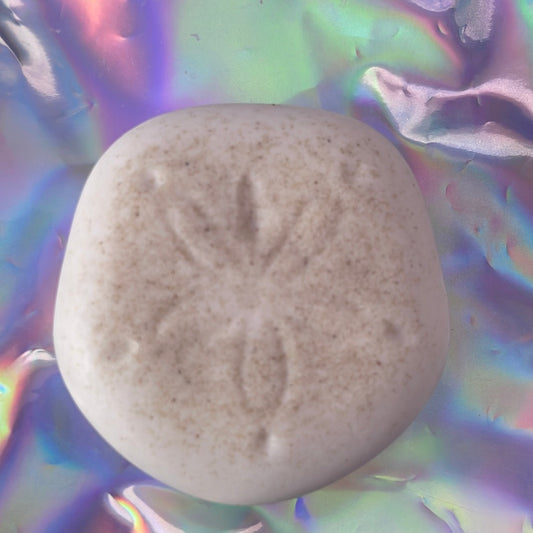 Sand dollar coconut oatmeal soap